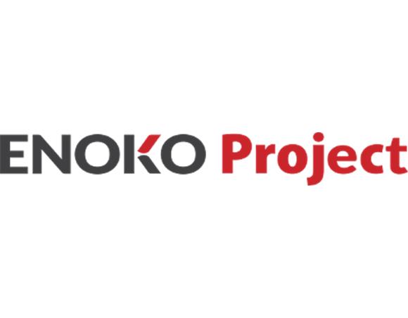 ENOKO Project – funkcjonalny dodatek do Microsoft Project