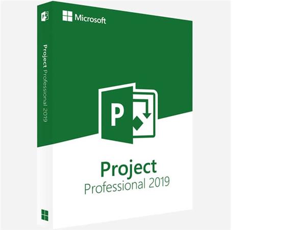 Project Professional 2024